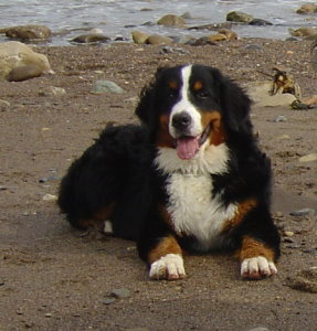Amy at 7 Months on Runswick Bay Beach, North Yorkshire