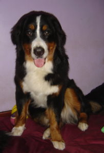 Amy at 10 Months