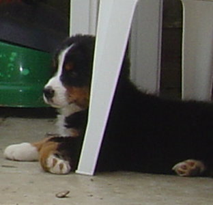 Amy at 2 Months