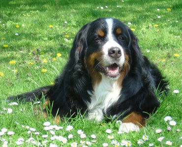 Amy at 2 1/4 years enjoying the spring sunshine