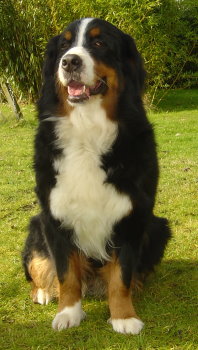 Amy at two years old