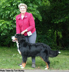 Bailey at 7 Months