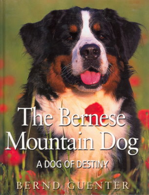 The Bernese Mountain Dog, A Dog of Destiny by Bernd Guenter