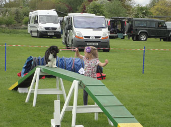 Abbie & Lily doing Agility