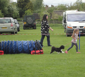 Abbie & Lily doing Agility