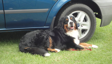 Amy's Daughter Leila (Pasturegreen Snow Boots)