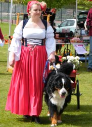 Philippa with Harvey in the Swiss Carting Class