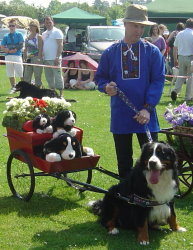 Harvey & Mervyn