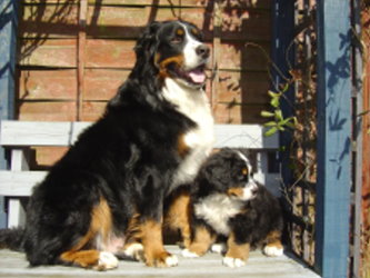 Harvey at 7 weeks old with Mum Sophie