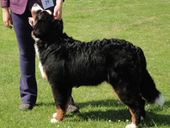 Henry at Eight Months Old