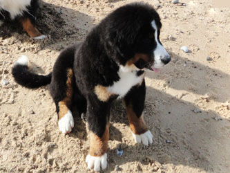 Henry at Five & A Half Months