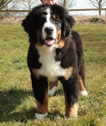 Henry at Five Months