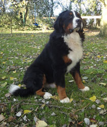 Henry at One Year Old