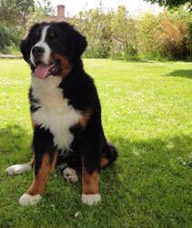 Henry at Seven Months