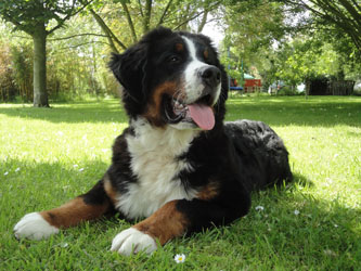 Henry at Seven Months
