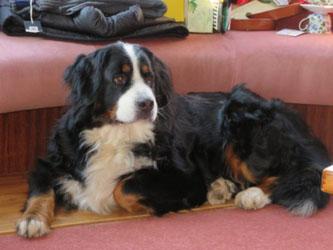 Keela at Three Years Old
