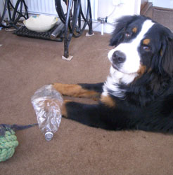 Keela at 7 Months