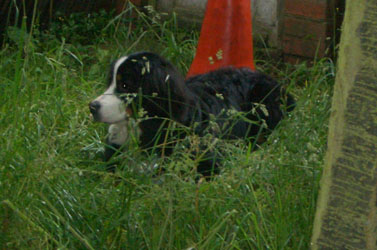 Keela at 8 Months
