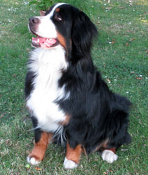 Keela at Two & a Half Years Old