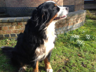 Keela at Two & A Quarter Years Old