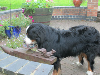 Keela Two Years Old