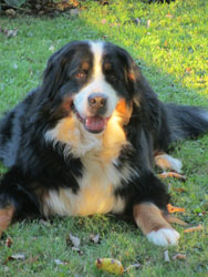 Keela Two Years Old