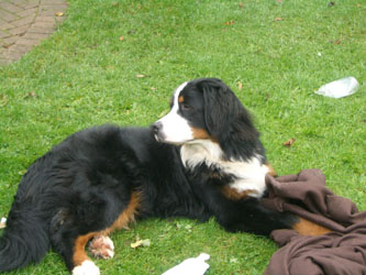 Keela at 11 Months