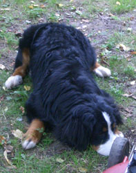 Keela at 10 Months