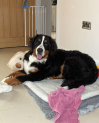 Leila at 7 Months