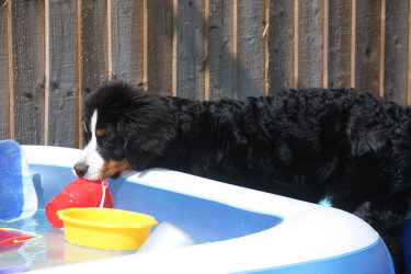 Leila At Five Months