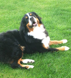 Leila at Two Years Old