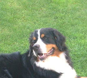 Leila at 21 Months