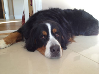 Leila at Two & a Quarter Years Old