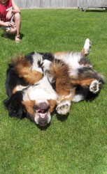 Leila at 2&frac12; Years