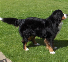 Leila at 2&frac12; Years