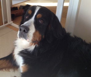 Leila at Two & a Quarter Years Old
