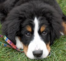 Leila At Three Months