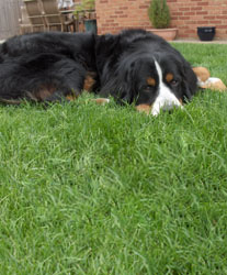 Leila at 18 Months