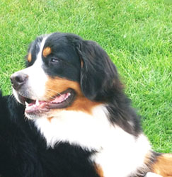 Leila at Two Years Old