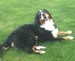 Leila at 21 Months