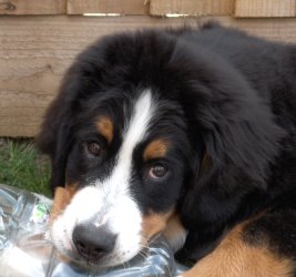 Leila At Four Months