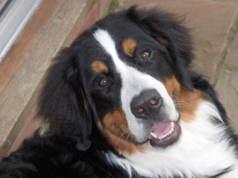 Leila at 7 Months