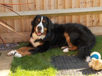 Leila At 10 Months