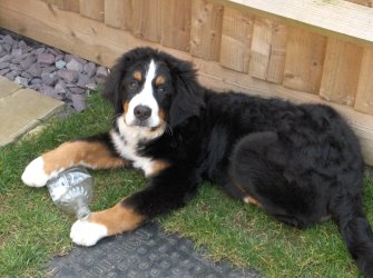 Leila At Four Months