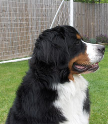 Leila at 18 Months