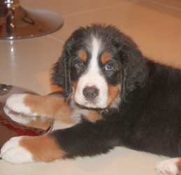 Leila At Two Months