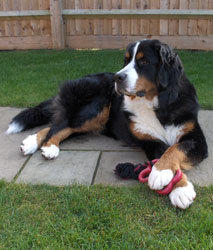 Leila at 11 Months