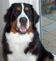 Leila At 10 Months
