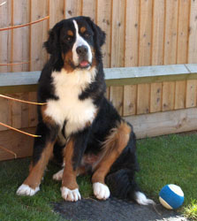 Leila At 10 Months