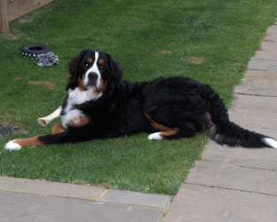 Leila at 8 Months